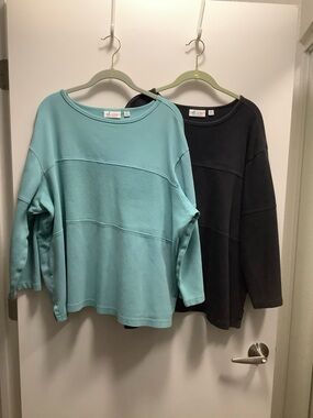 Set of Two Woman’s Denim & Co. Long Sleeve Tops